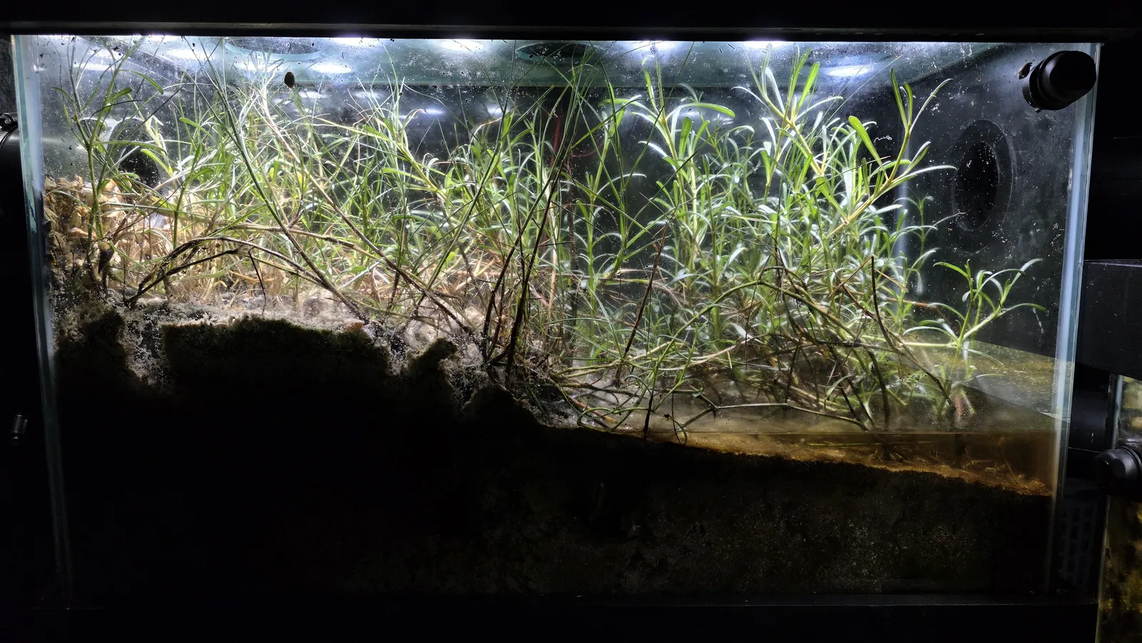 Current front-facing archive view of Marine Shore