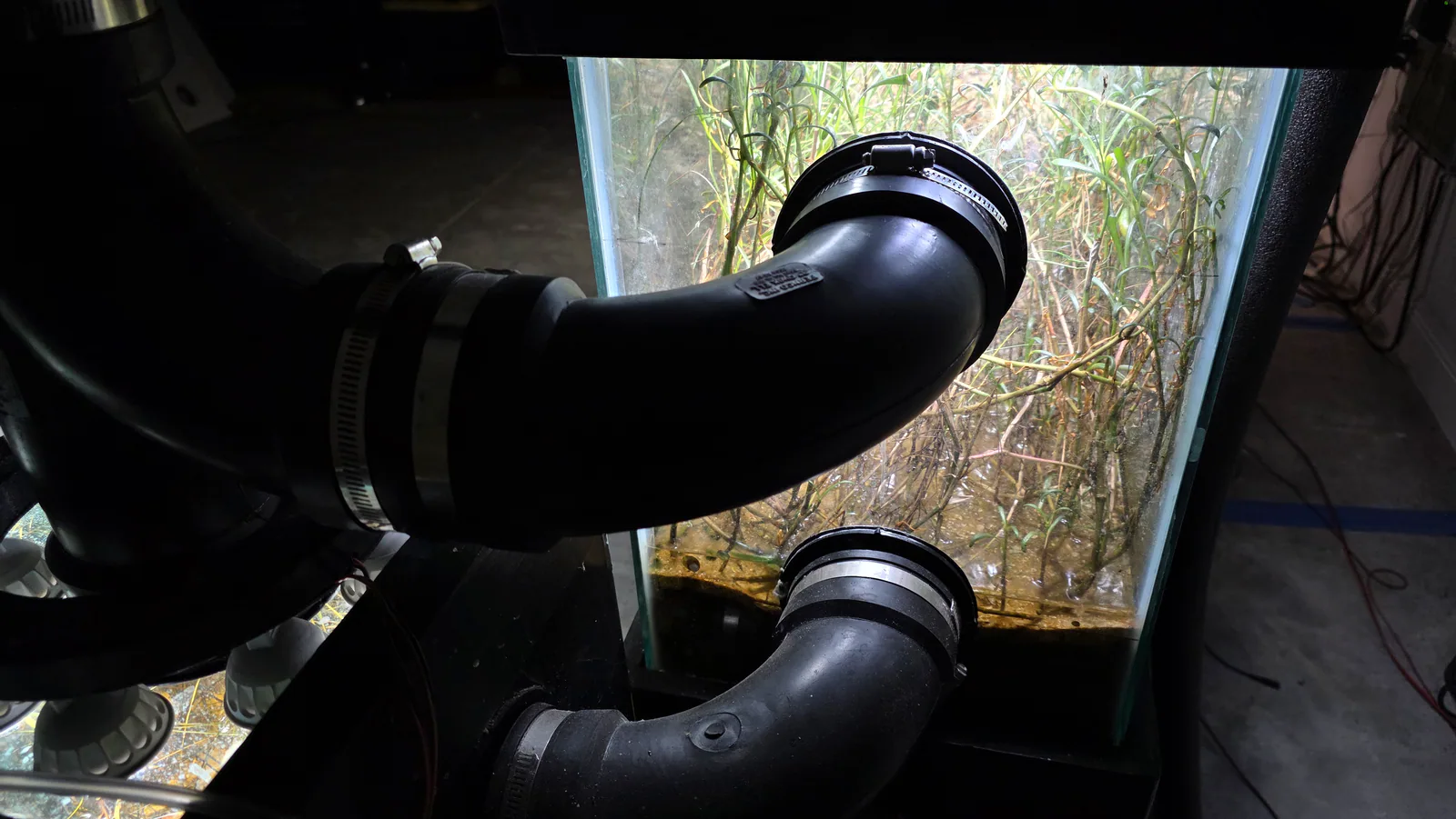 Black plumbing and circular ports connected to a planted miniBIOTA enclosure chamber.